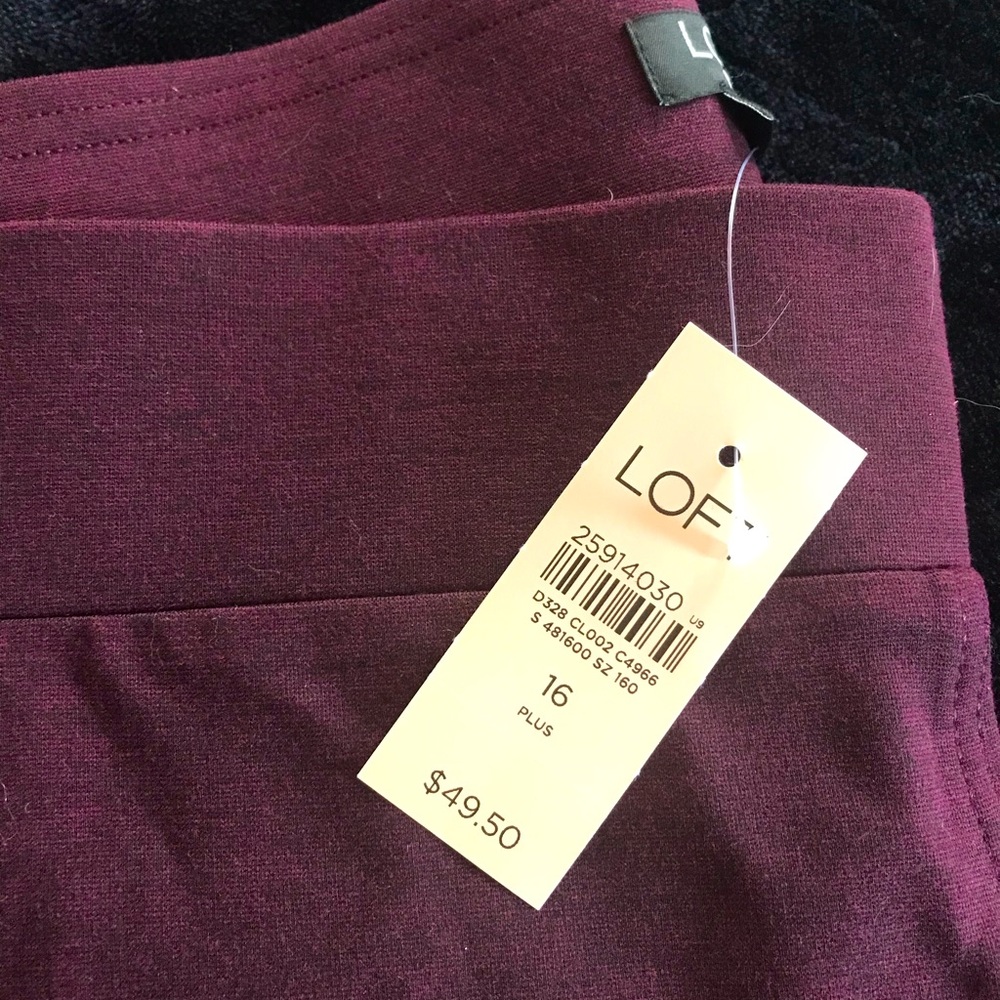 NWT Loft Capris